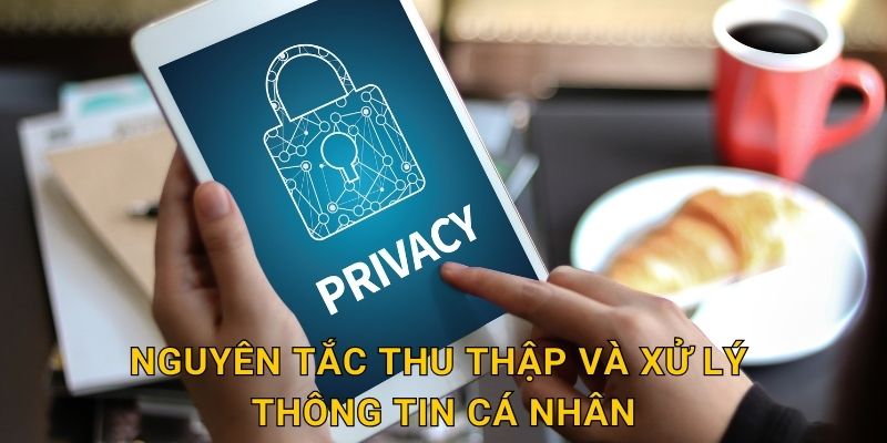 Nguyên tắc thu thập và xử lý thông tin cá nhân