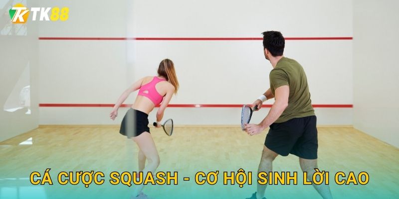 Cá cược squash - Cơ hội sinh lời cao