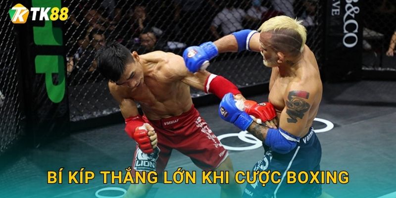Bí kíp thắng lớn khi cược boxing
